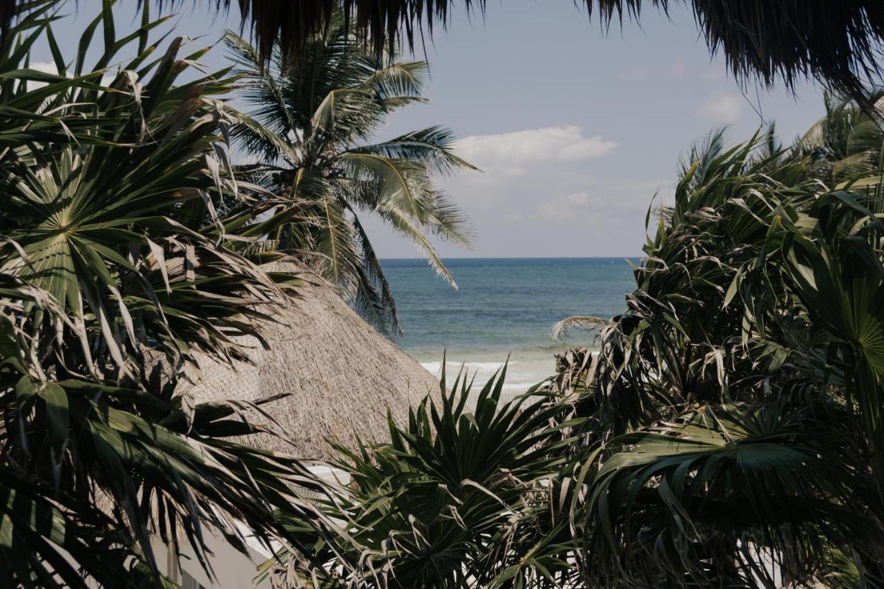 Tuup Tulum Hotell Eksteriør bilde