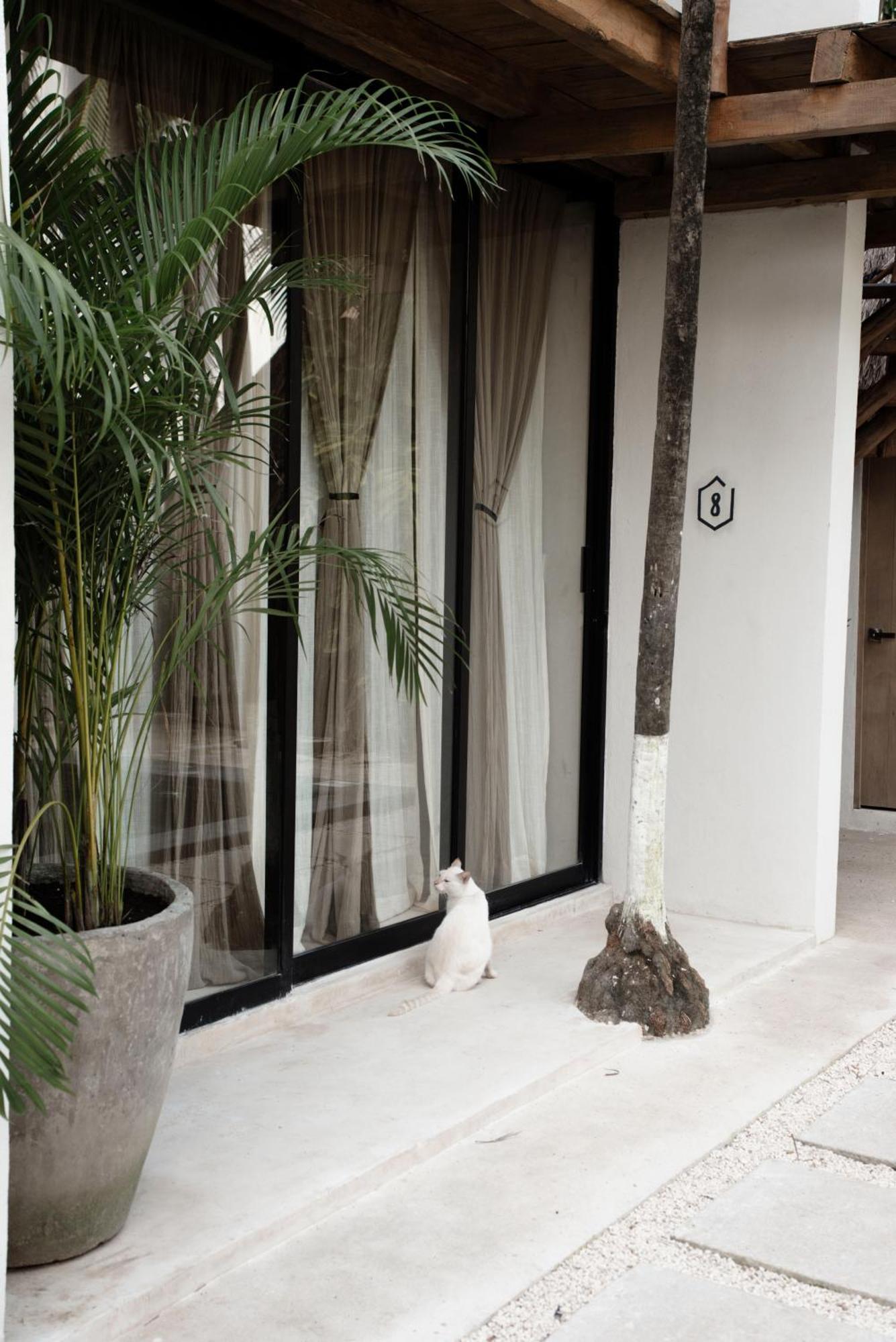 Tuup Tulum Hotell Eksteriør bilde